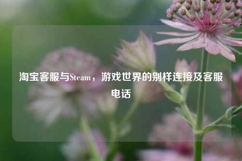 与Steam,游戏世界的别样连接及
