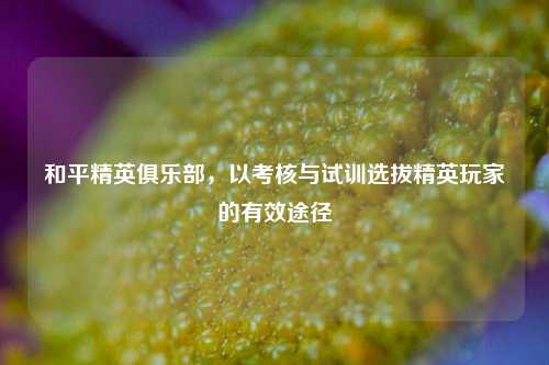 和平精英俱乐部,以考核与试训选拔精英玩家的有效途径