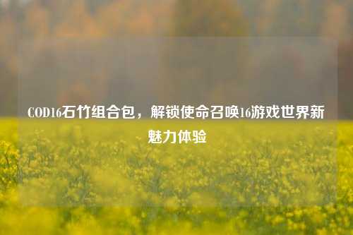 COD16石竹组合包,解锁使命召唤16游戏世界新魅力体验