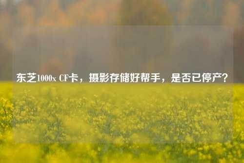 东芝1000x CF卡,摄影存储好帮手,是否已停产?