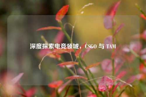 深度探索电竞领域,CSGO 与 TAM