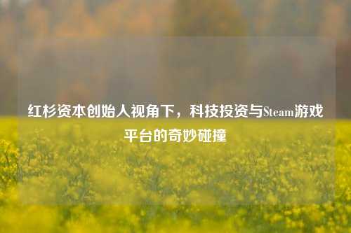 红杉资本创始人视角下,科技投资与Steam游戏平台的奇妙碰撞