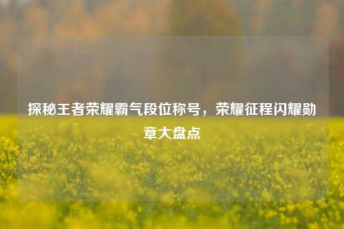 探秘王者荣耀霸气段位称号,荣耀征程闪耀勋章大盘点