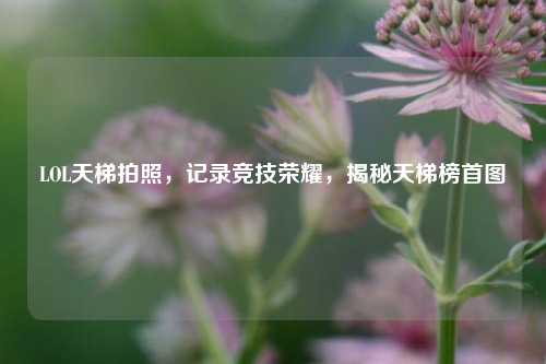 LOL天梯拍照,记录竞技荣耀,揭秘天梯榜首图