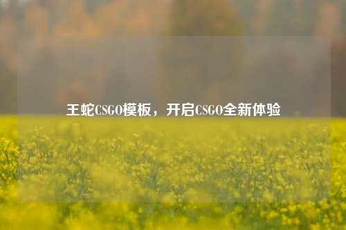 王蛇CSGO模板,开启CSGO全新体验