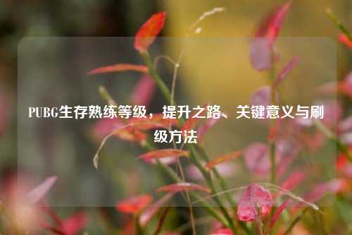 PUBG生存熟练等级,提升之路、关键意义与刷级
