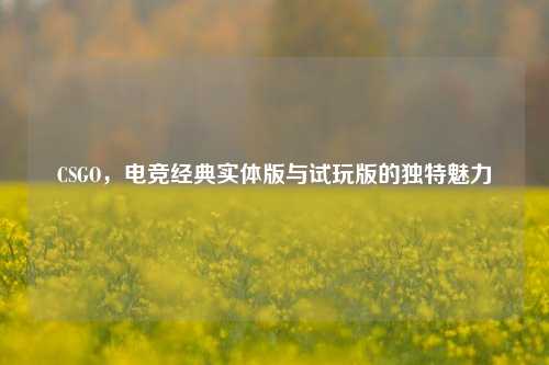 CSGO,电竞经典实体版与试玩版的独特魅力