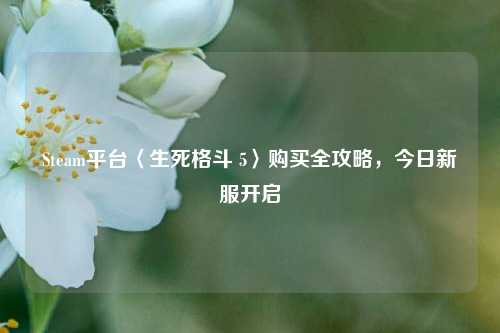 Steam平台〈生死格斗 5〉购买全攻略,今日新服开启