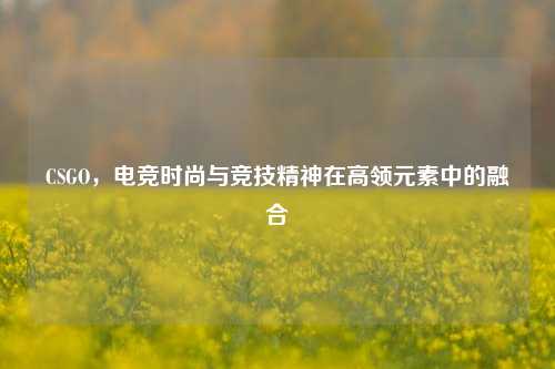 CSGO,电竞时尚与竞技精神在高领元素中的融合
