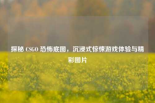 探秘 CSGO 恐怖底图,沉浸式惊悚游戏体验与精彩图片