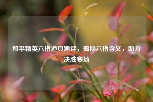 和平精英六指道具测评,揭秘六指含义,助力决胜赛场