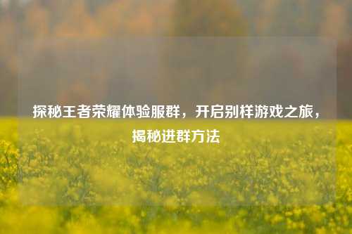 探秘王者荣耀体验服群,开启别样游戏之旅,揭秘进群