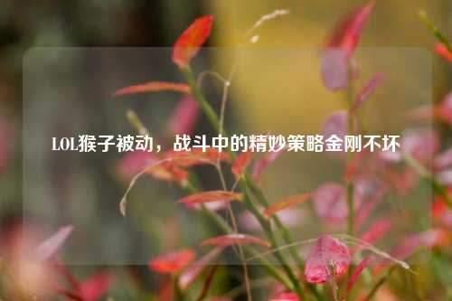 LOL猴子被动,战斗中的精妙策略金刚不坏