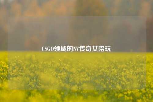 CSGO领域的NV传奇女陪玩