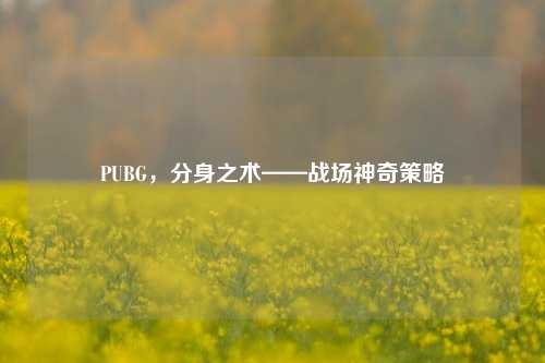 PUBG,分身之术——战场神奇策略
