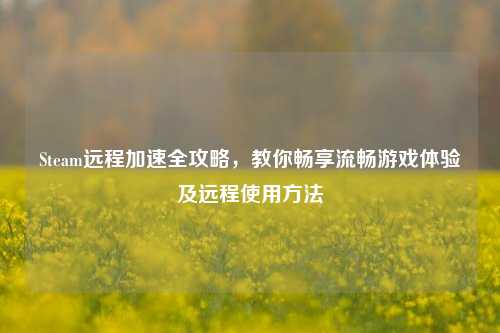 Steam远程加速全攻略,教你畅享流畅游戏体验及远程使用