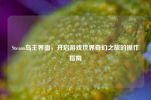 Steam岛主界面,开启游戏世界奇幻之旅的操作指南