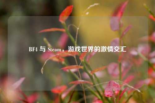 BF4 与 Steam,游戏世界的***交汇