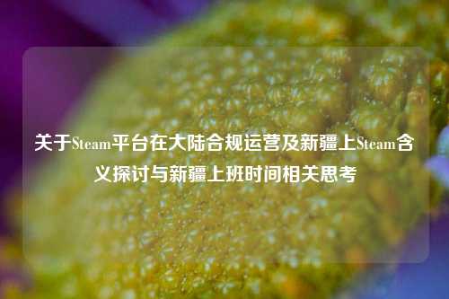关于Steam平台在大陆合规运营及新疆上Steam含义探讨与新疆上班时间相关思考