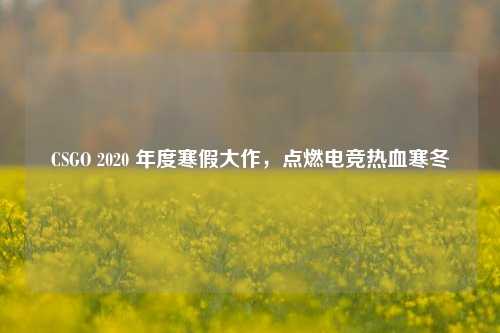 CSGO 2020 年度寒假大作,点燃电竞热血寒冬