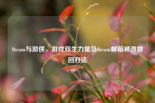 Steam与游侠,游戏双生力量及Steam邮箱被改找回办法