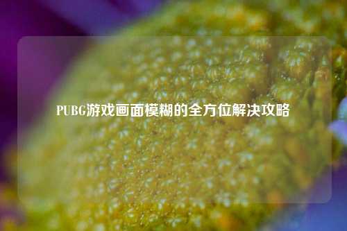 PUBG游戏画面模糊的全方位解决攻略