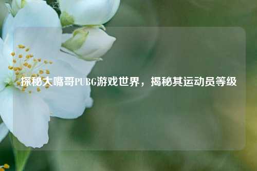 探秘大嘴哥PUBG游戏世界,揭秘其运动员等级