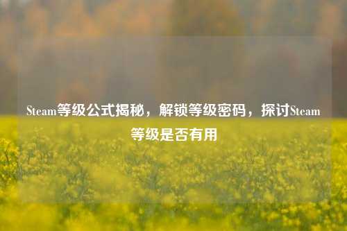 Steam等级公式揭秘,解锁等级密码,探讨Steam等级是否有用