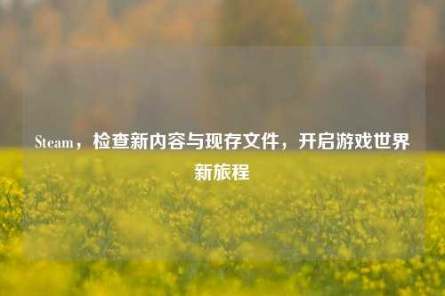 Steam,检查新内容与现存文件,开启游戏世界新旅程