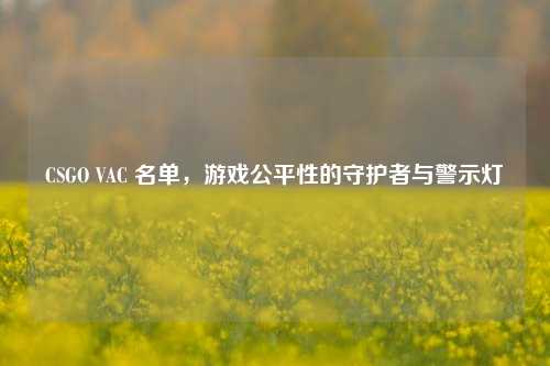 CSGO VAC 名单,游戏公平性的守护者与警示灯