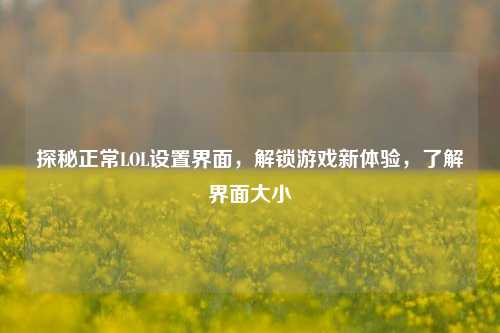 探秘正常LOL设置界面,解锁游戏新体验,了解界面大小