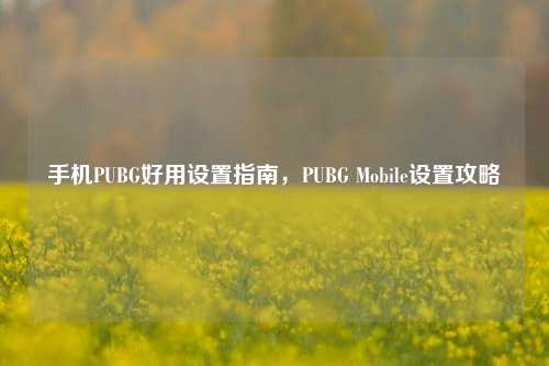 手机PUBG好用设置指南,PUBG Mobile设置攻略