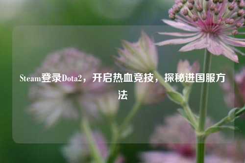 Steam登录Dota2,开启热血竞技,探秘进国服