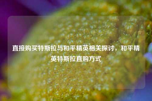 直接购买特斯拉与和平精英相关探讨,和平精英特斯拉直购方式
