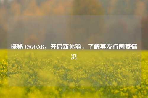 探秘 CSGO.XB,开启新体验,了解其发行国家情况