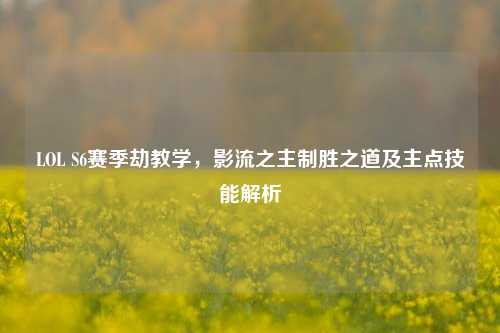 LOL S6赛季劫教学,影流之主制胜之道及主点技能解析