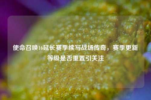 使命召唤16延长赛季续写战场传奇,赛季更新等级是否重置引关注