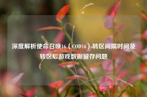 深度解析使命召唤16(COD16)转区间隔时间及转区后游戏数据留存问题