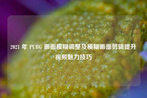 2021 年 PUBG 画面模糊调整及模糊画面剪辑提升视频魅力技巧