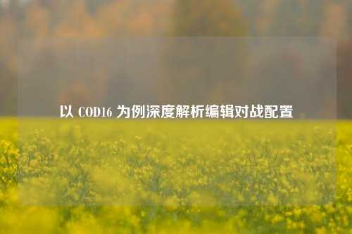 以 COD16 为例深度解析编辑对战配置