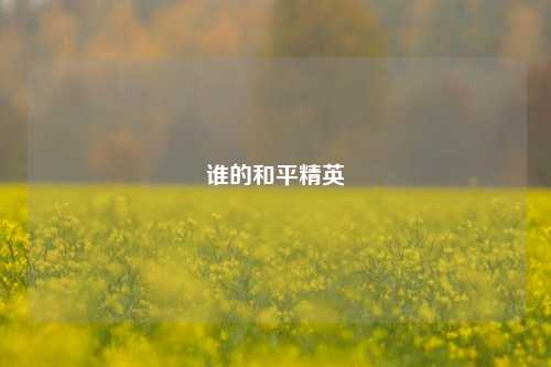 谁的和平精英