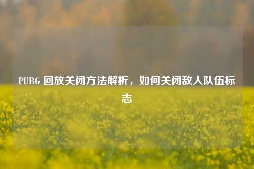 PUBG 回放关闭 解析,如何关闭敌人队伍标志