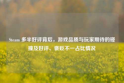Steam 多半好评背后,游戏品质与玩家期待的碰撞及好评、褒贬不一占比情况
