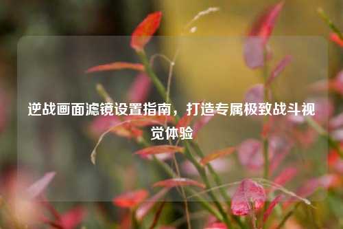 逆战画面滤镜设置指南,打造专属极致战斗视觉体验