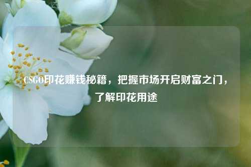 CSGO印花赚钱秘籍,把握市场开启财富之门,了解印花用途