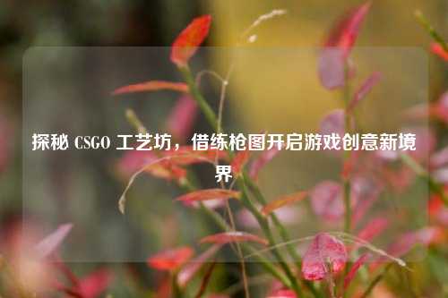 探秘 CSGO 工艺坊,借练枪图开启游戏创意新境界