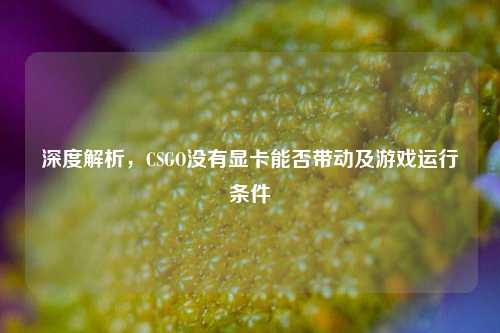 深度解析,CSGO没有显卡能否带动及游戏运行条件