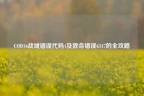 COD16战域错误代码4及致命错误6347的全攻略
