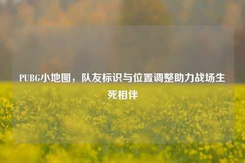 PUBG小地图,队友标识与位置调整助力战场生死相伴