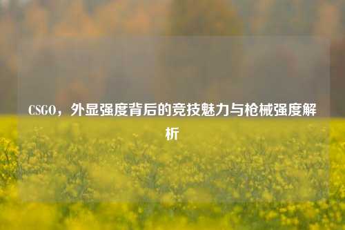 CSGO,外显强度背后的竞技魅力与枪械强度解析